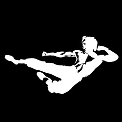 art-martiaux5