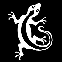 lezard3