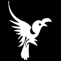 oiseau5