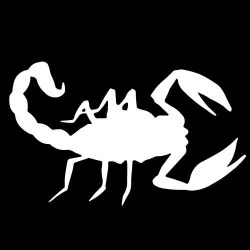scorpion1